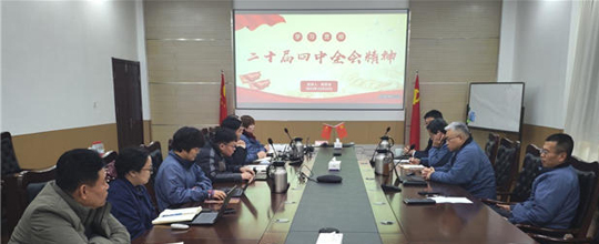 <b>3308维多利亚线路检测中心智能党总支组织召开党的二十届四中全会精</b>